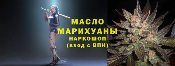 шишки Арсеньев
