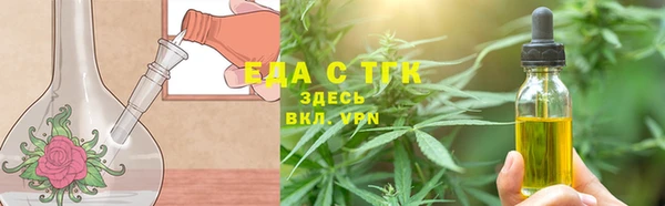 шишки Арсеньев