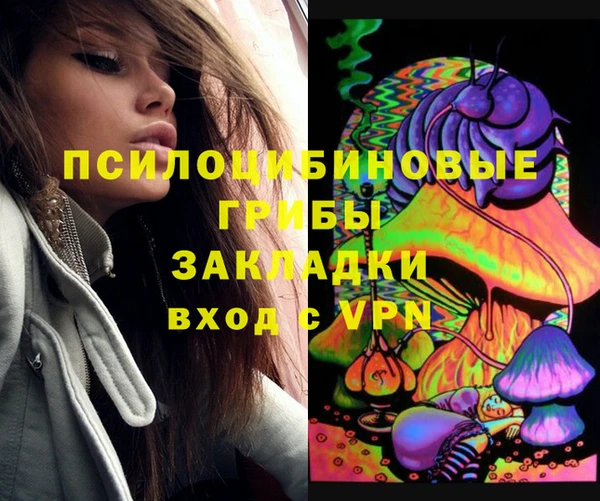 шишки Арсеньев