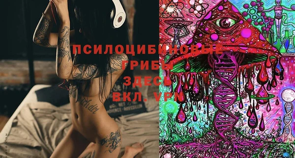 ECSTASY Аркадак