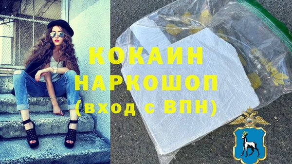 шишки Арсеньев