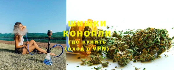 шишки Арсеньев