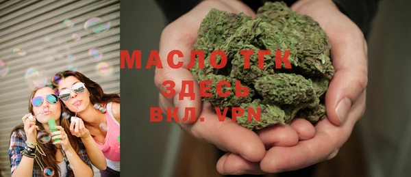 шишки Арсеньев