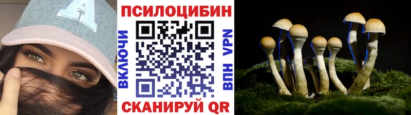 Псилоцибиновые грибы GOLDEN TEACHER где найти Талица